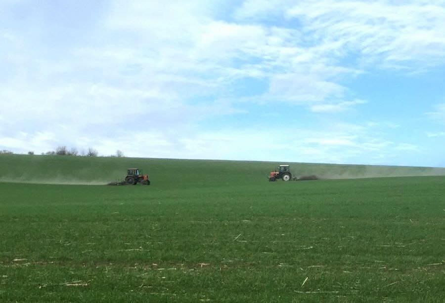 У ВІДДІЛКУ ДІБРІВКА ТОВ 